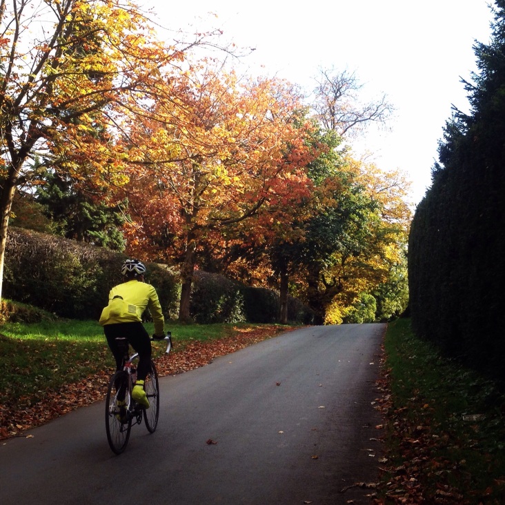Autumn riding near Alton Towers